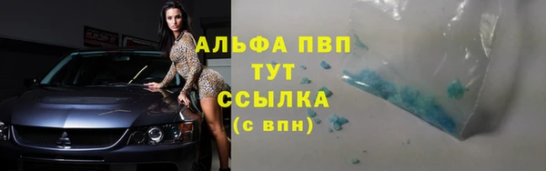 СК Магас