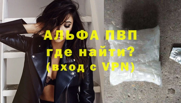 СК Магас