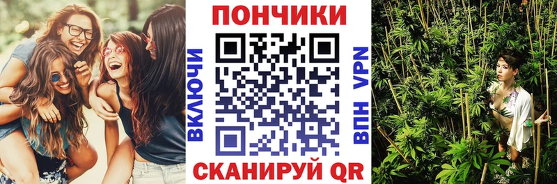 Бошки марихуана план  Купить закладки  Назарово 
